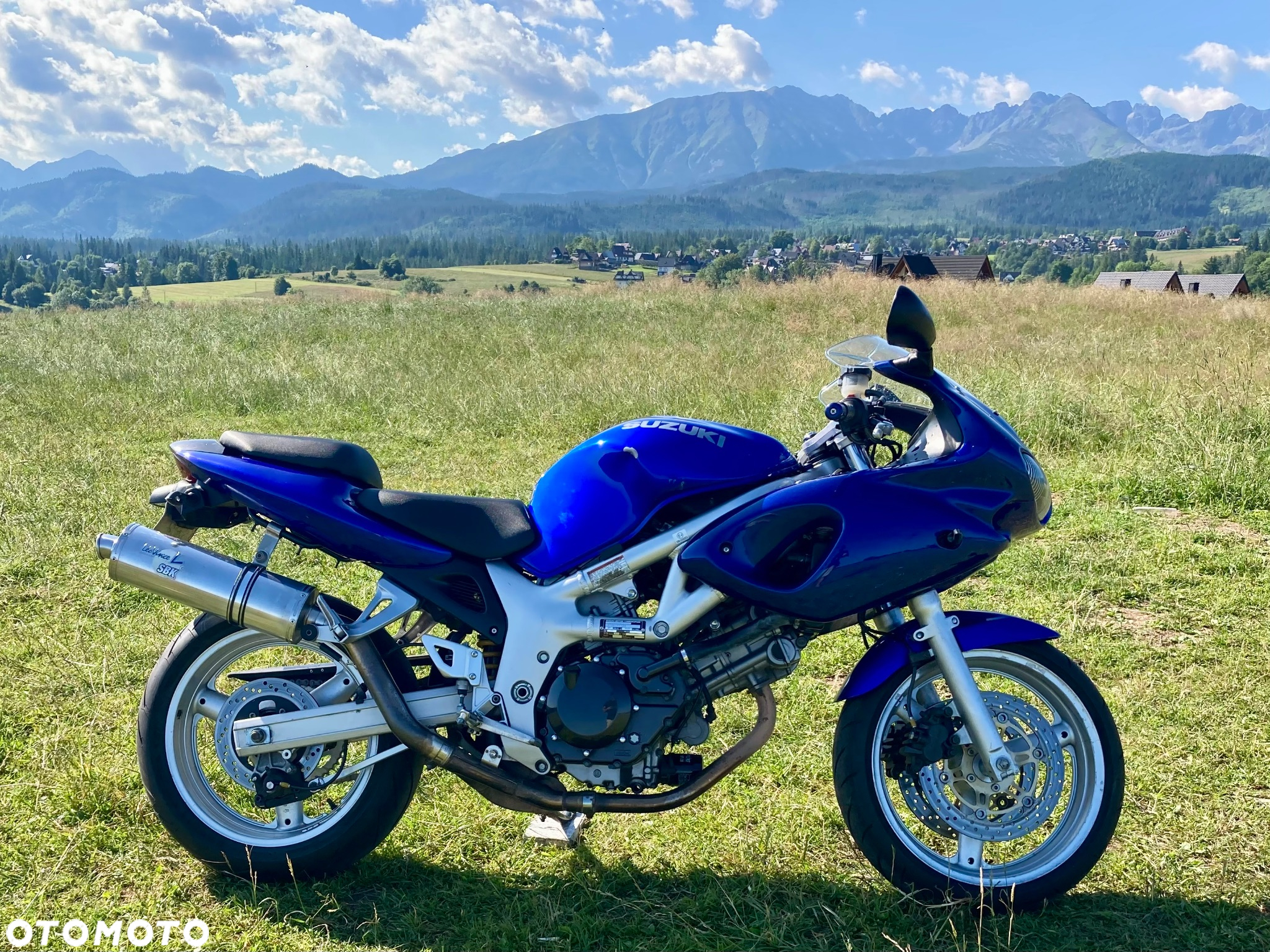 Suzuki SV - 5