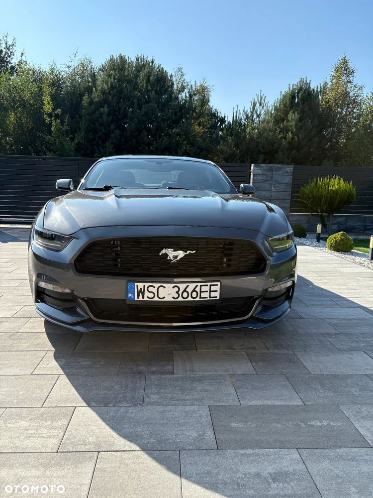 Ford Mustang 3.7 V6 - 6