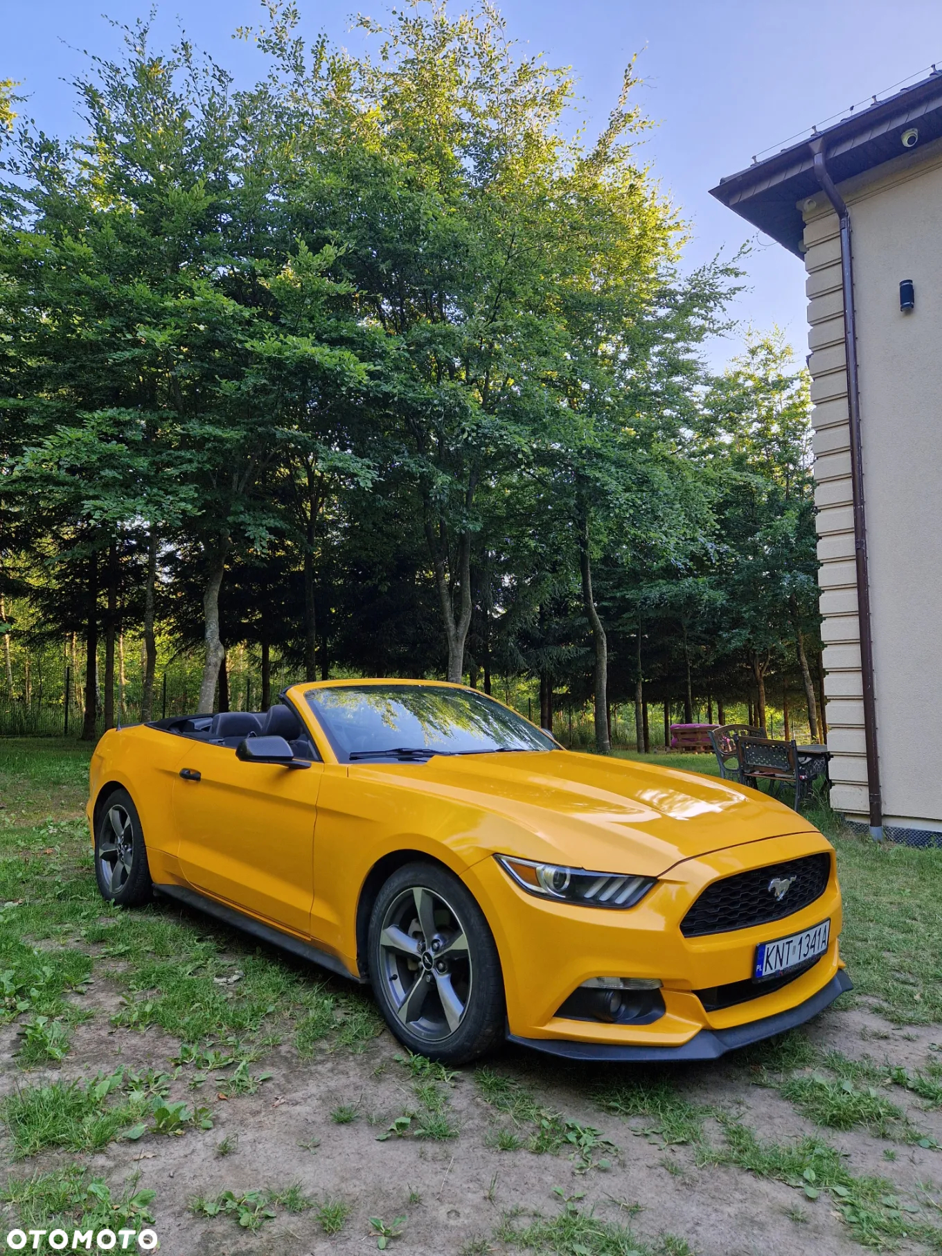 Ford Mustang 3.7 V6 - 3