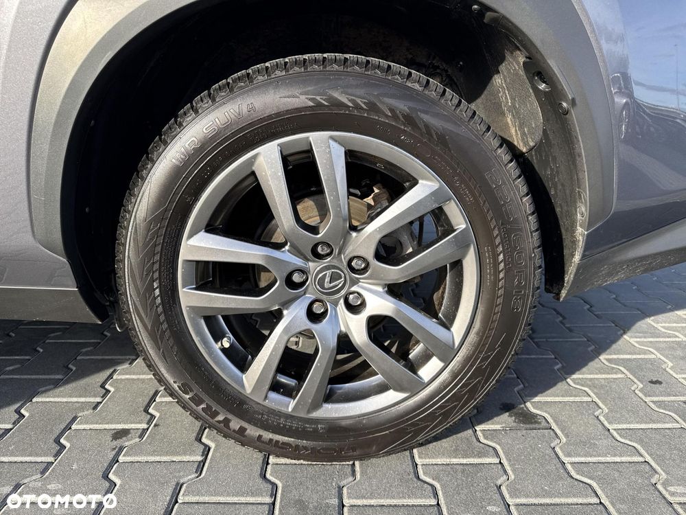 Lexus NX - 19