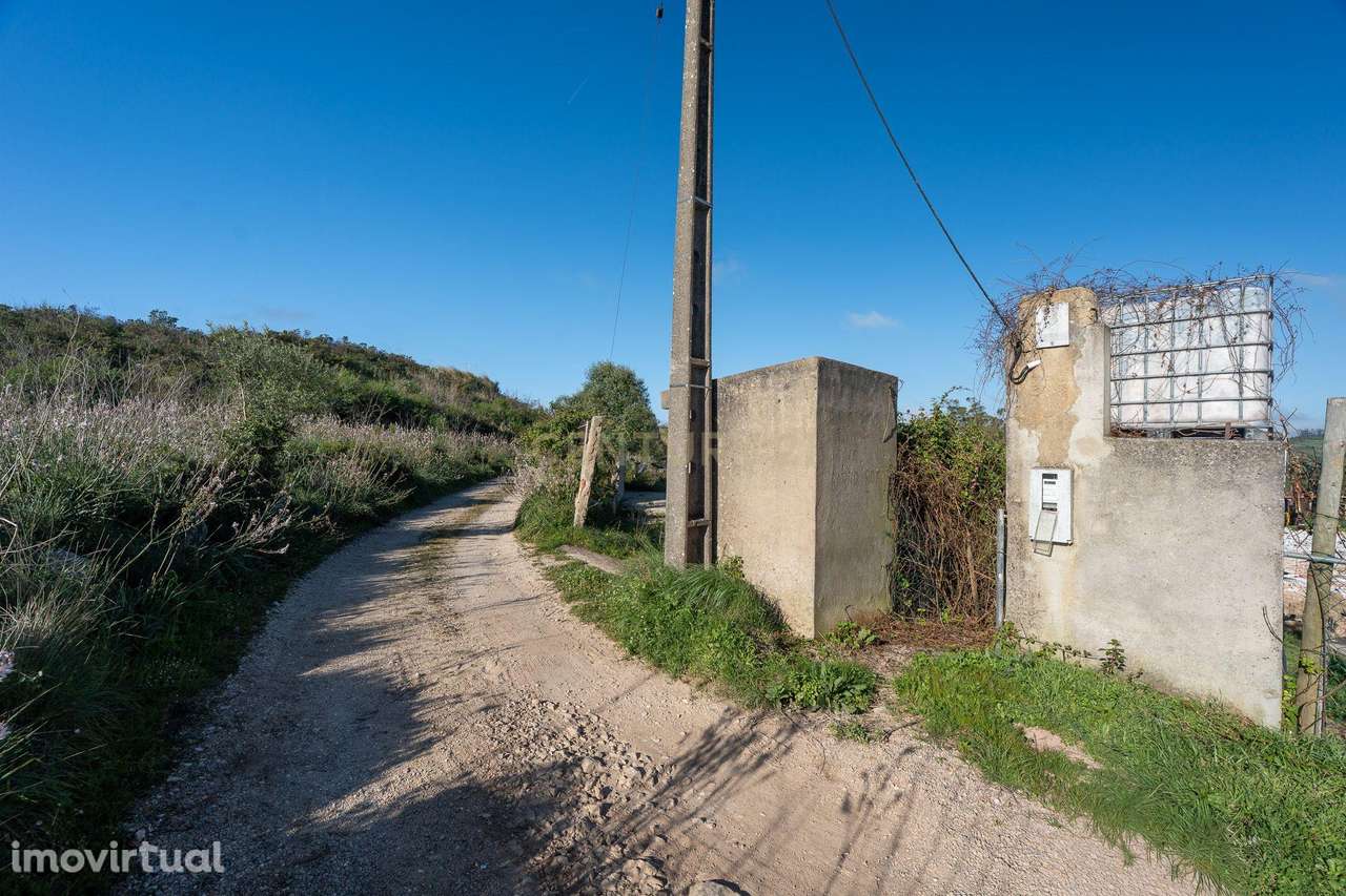 Terreno Rústico na Terrugem - Grande imagem: 4/19