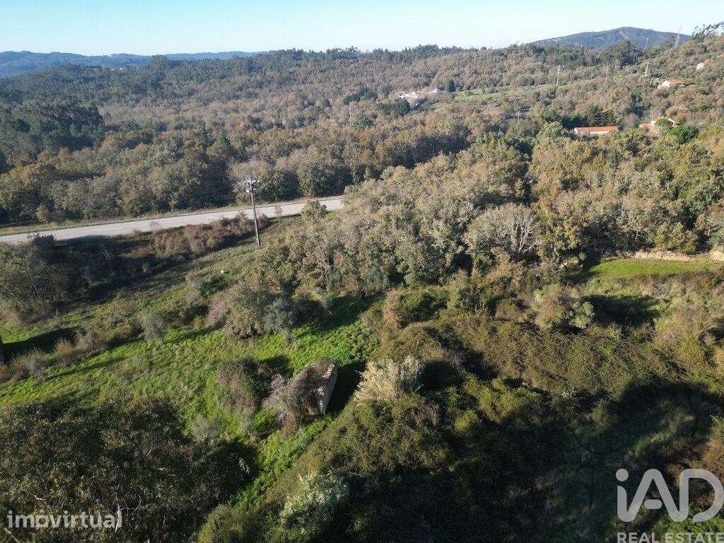 Terreno para construção em São Miguel, Santa Eufémia e Rabaçal de 7007 - Grande imagem: 2/15