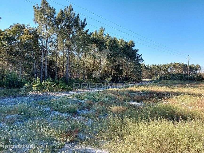 Terreno rustico 14280m2 na região de Aljezur Algarve - Grande imagem: 4/9