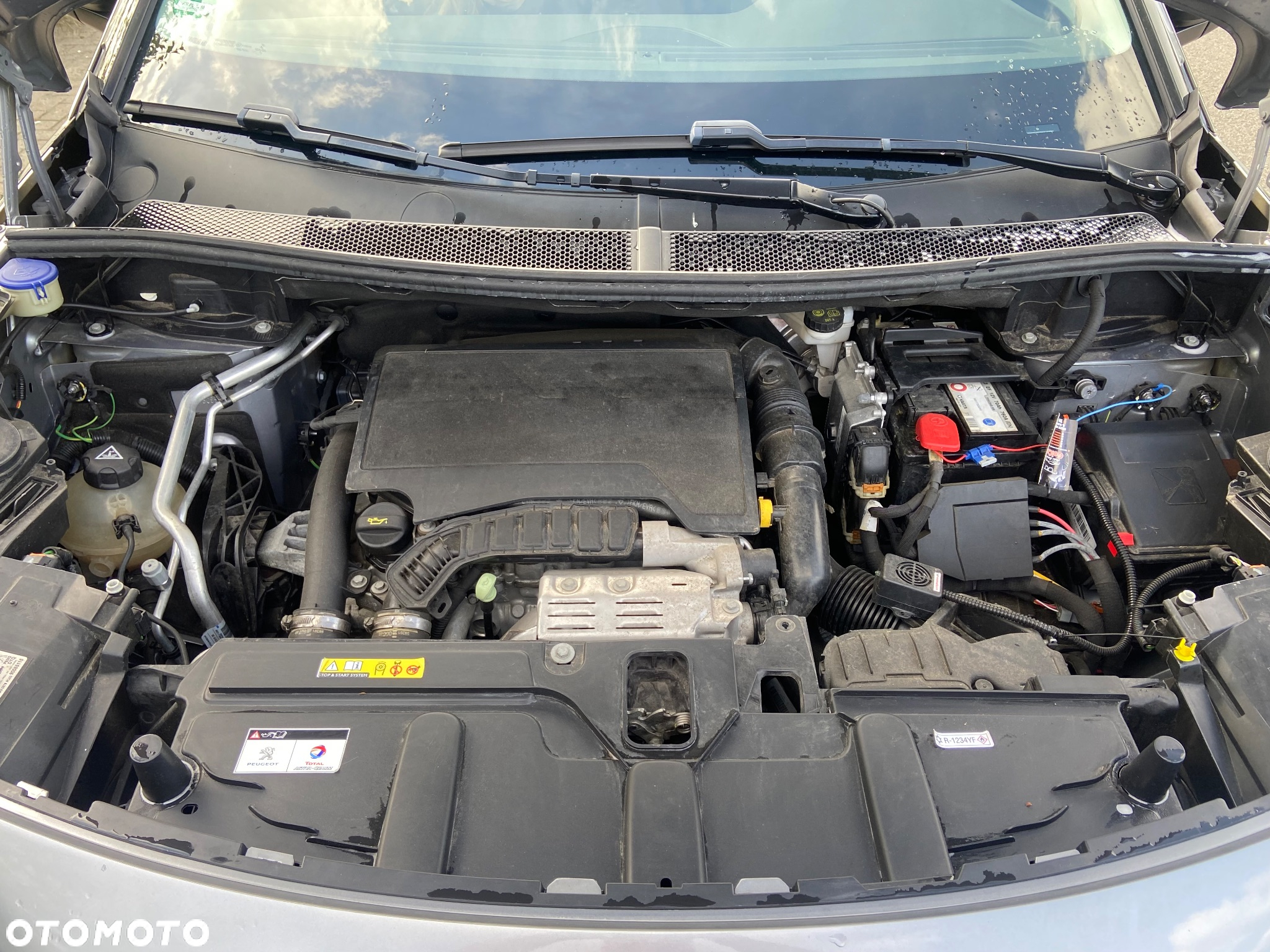 Peugeot 3008 1.2 PureTech GPF Active S&S EAT8 - 6