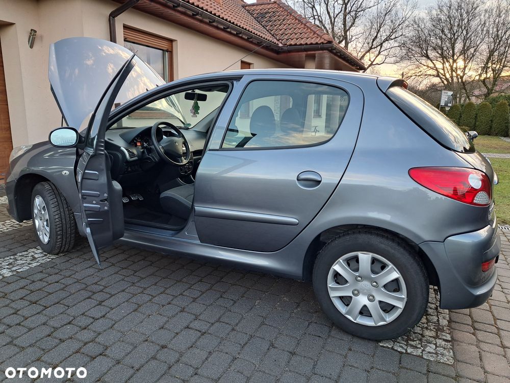 Peugeot 206 plus 60 - 37
