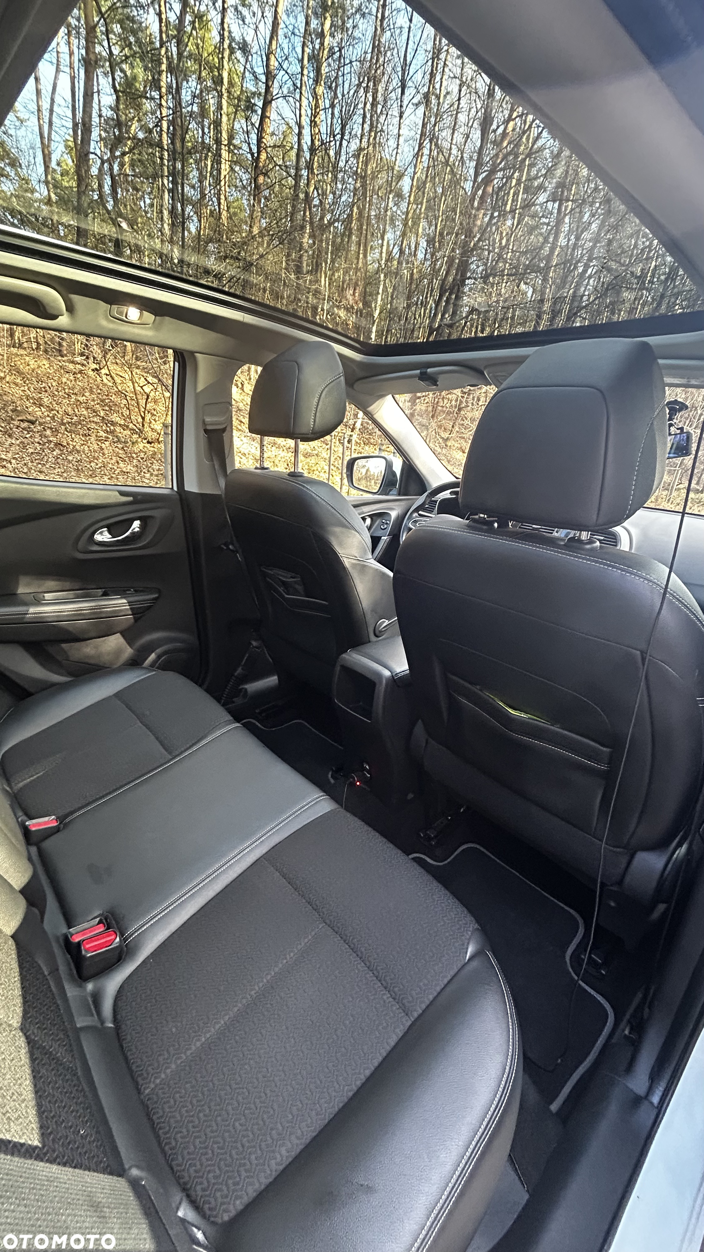 Renault Kadjar 1.2 Energy TCe Limited - 12