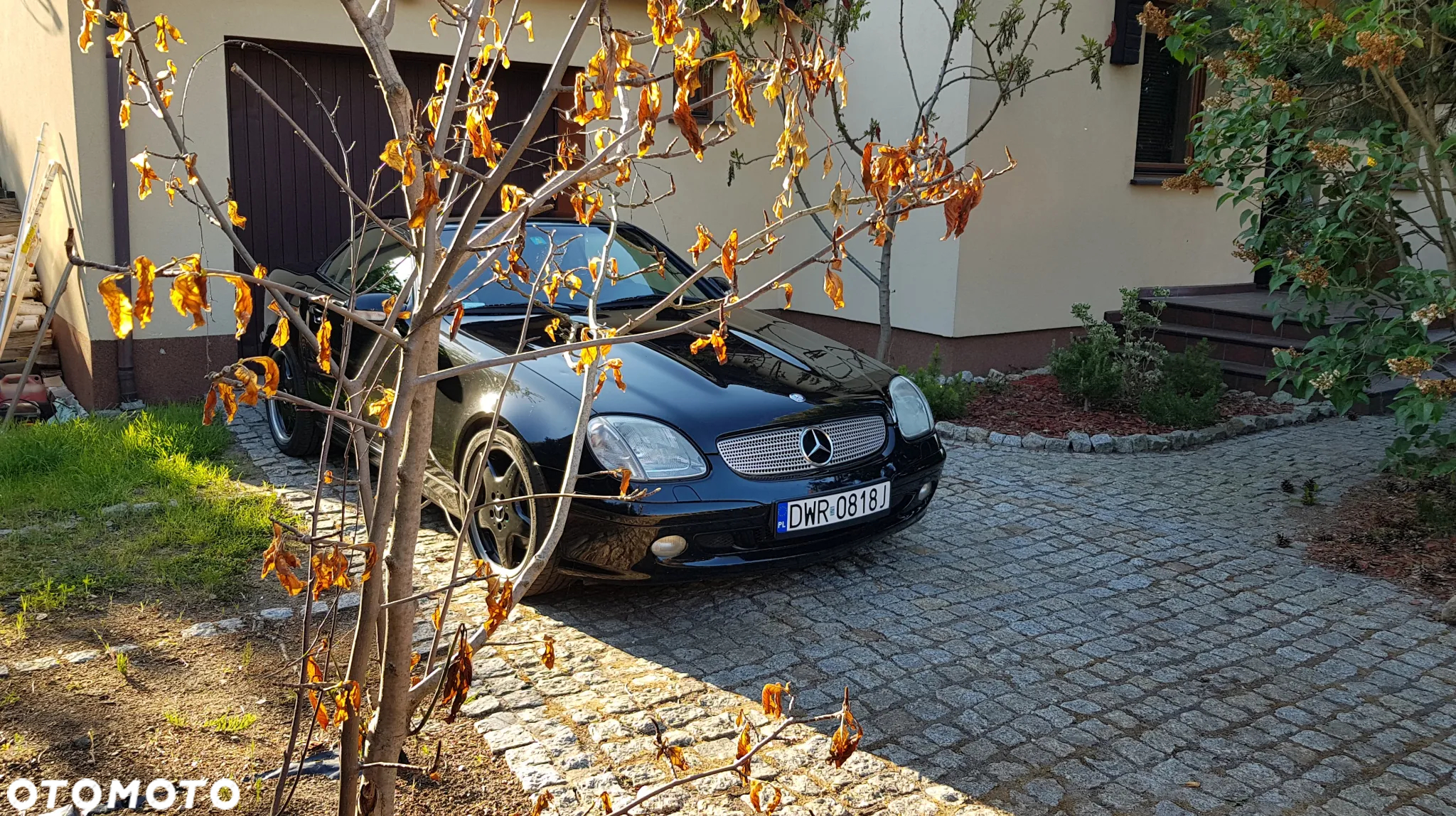 Mercedes-Benz SLK - 14