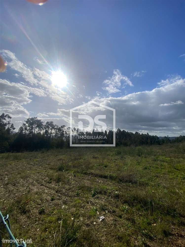 Terreno Rústico  Venda em Macieira da Lixa e Caramos,Felgueiras - Grande imagem: 2/14