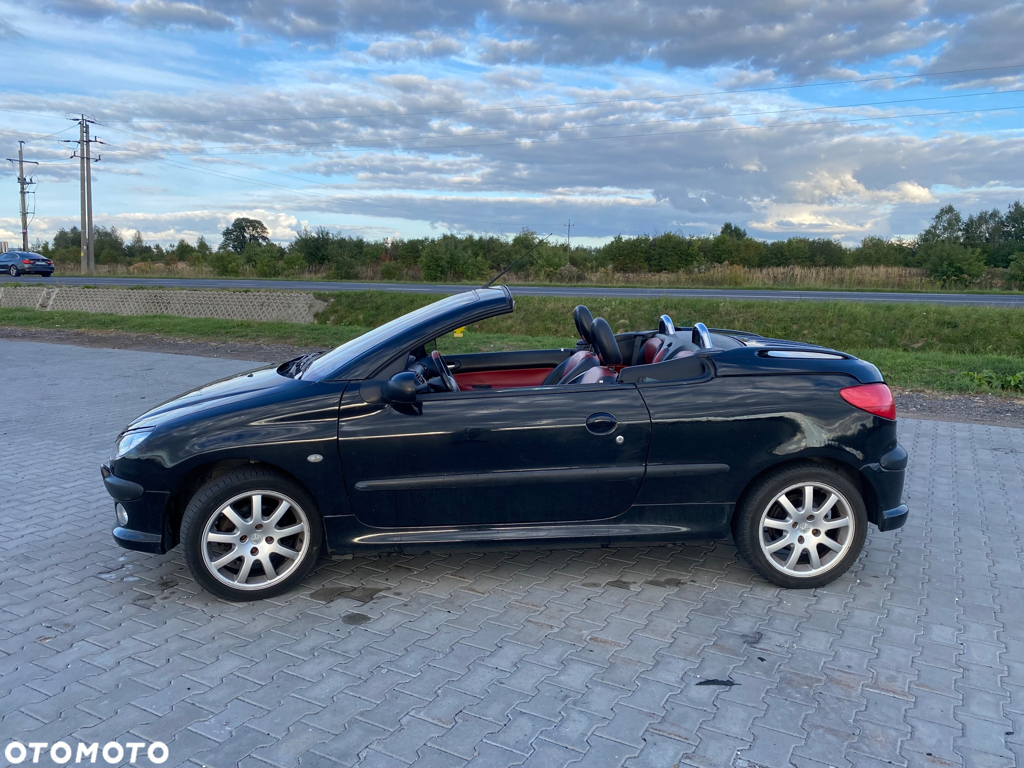Peugeot 206 CC 110 - 7