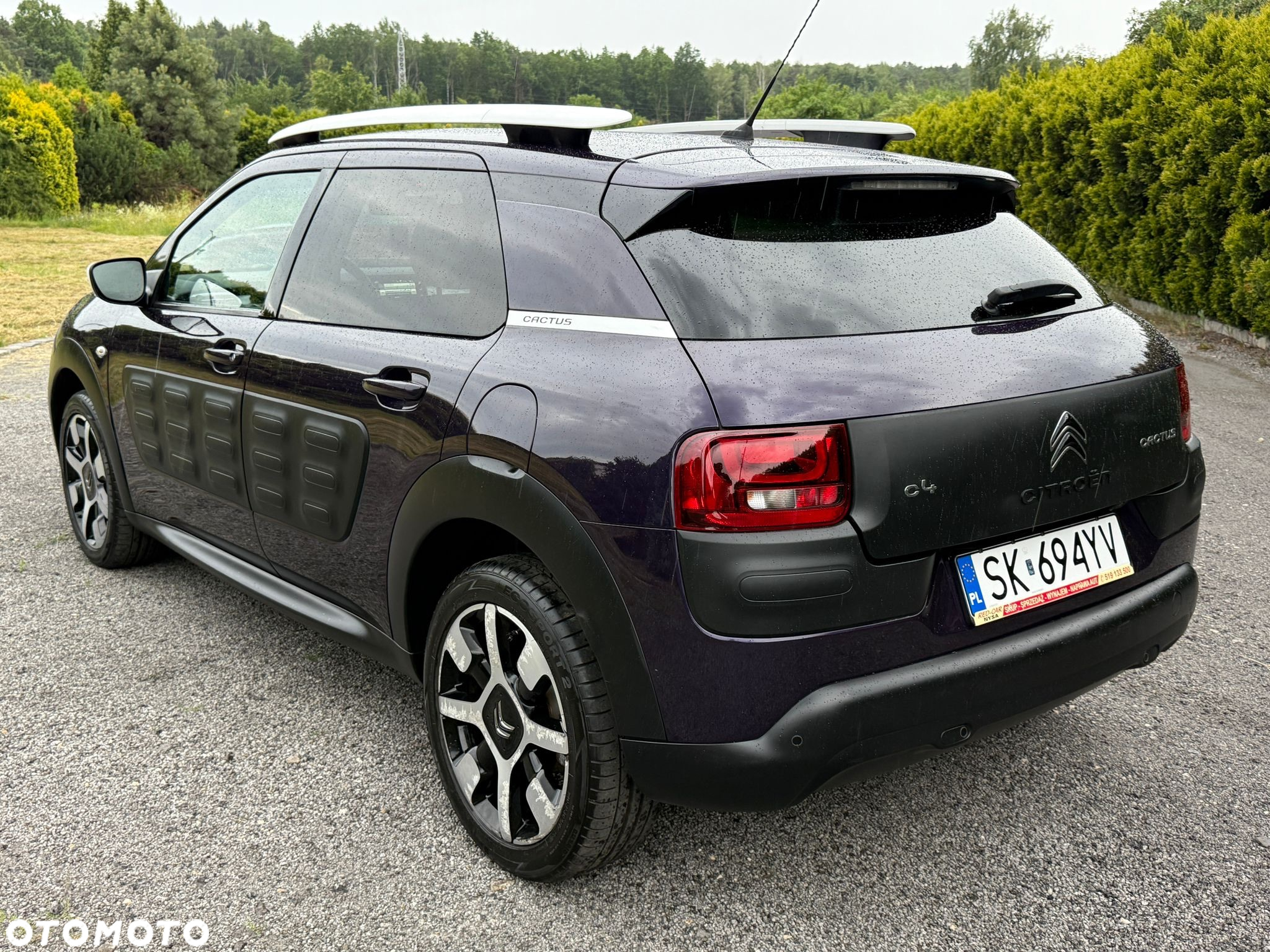 Citroën C4 Cactus 1.2 PureTech Shine S&S - 8
