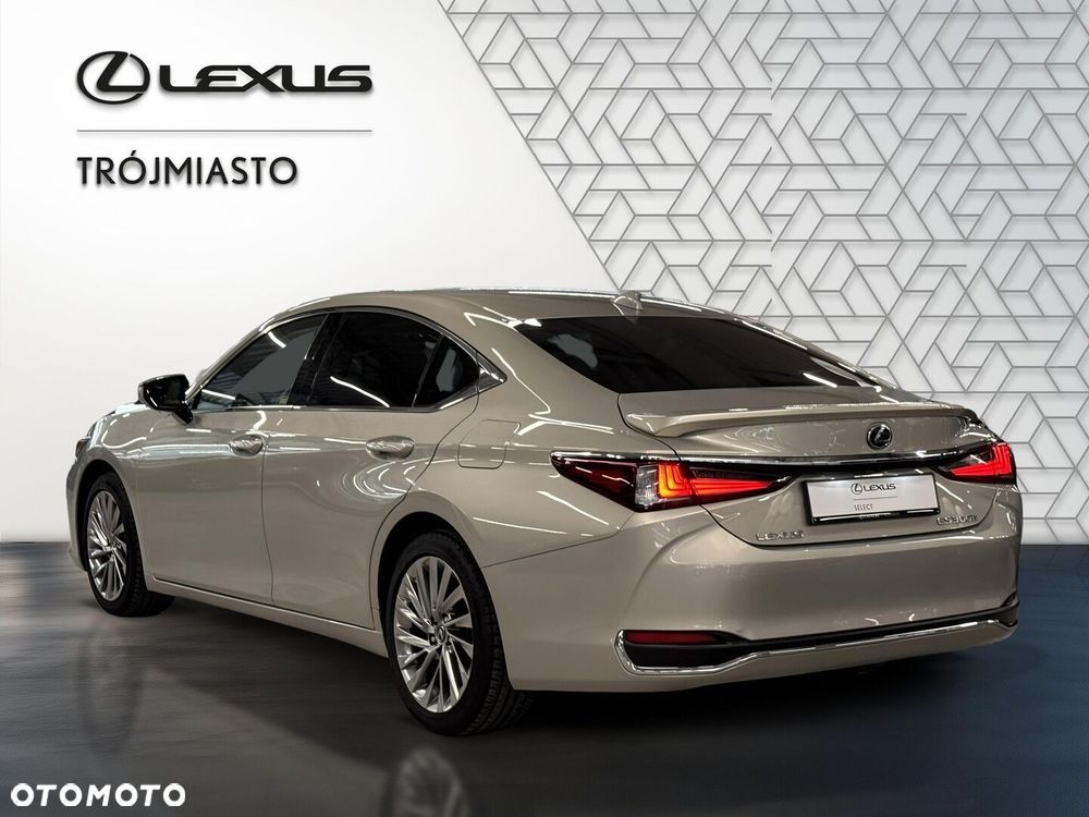 Lexus ES 300h Omotenashi - 4