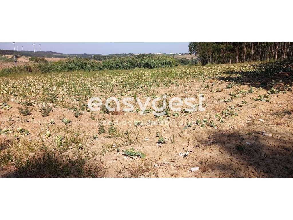 Excelente Terreno Rústico no Lugar da Formiga com 4120m2 - Grande imagem: 4/6