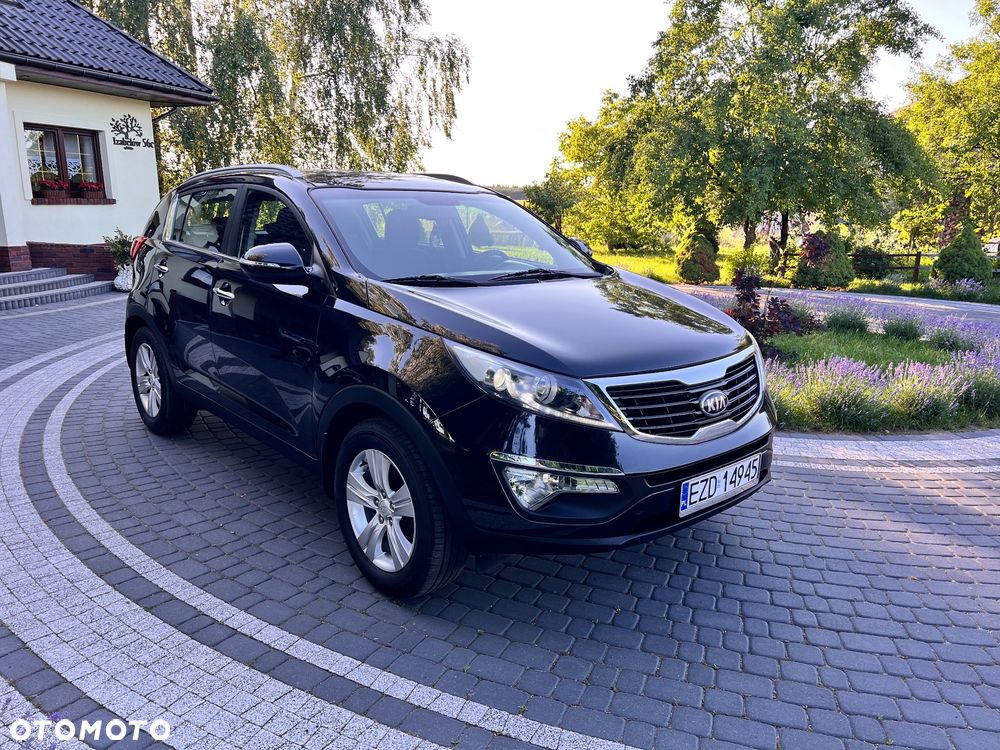 Kia Sportage 1.6 GDI Business Line L 2WD - 5
