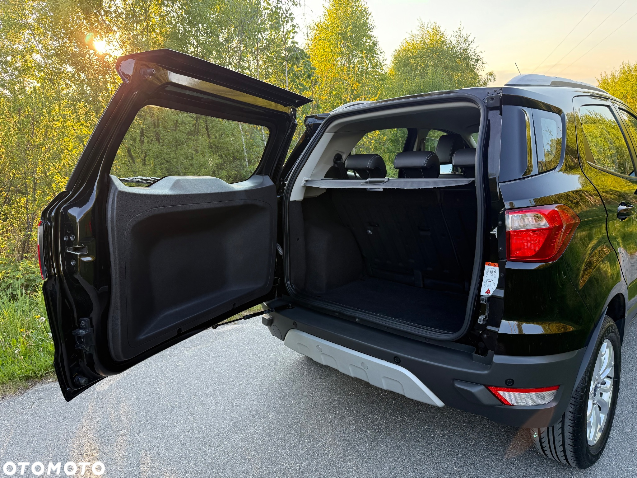 Ford EcoSport 1.0 EcoBoost GPF Titanium ASS - 8