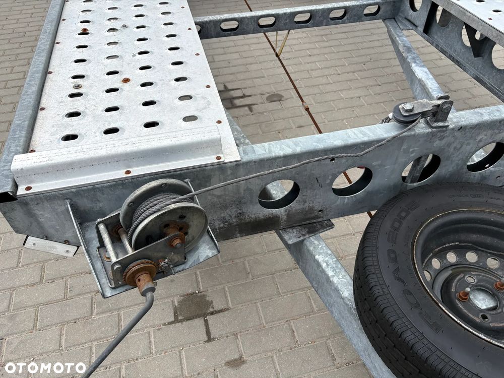 Wiola - 12