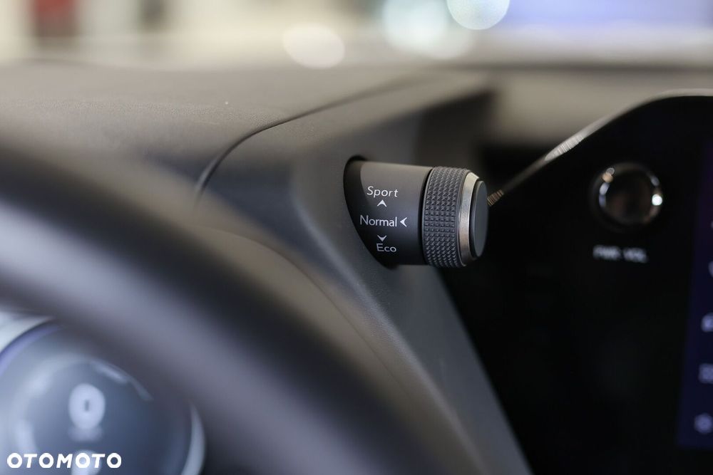 Lexus UX 250h GPF F Sport Design 2WD - 20