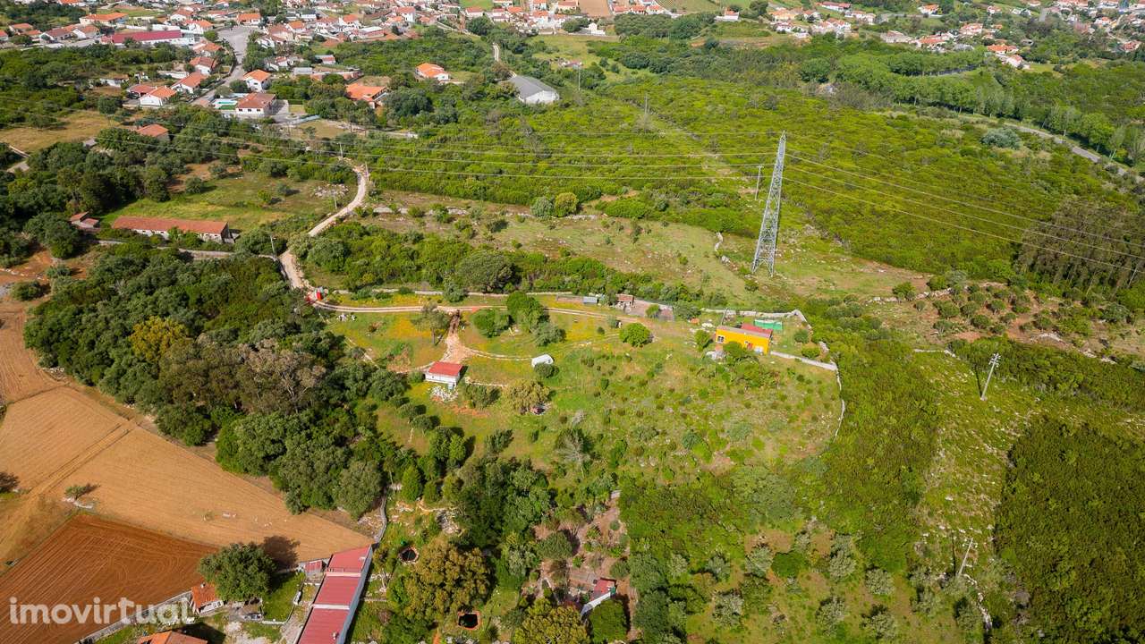 Quinta com habitação em Aljubarrota-Alcobaça - Grande imagem: 2/21