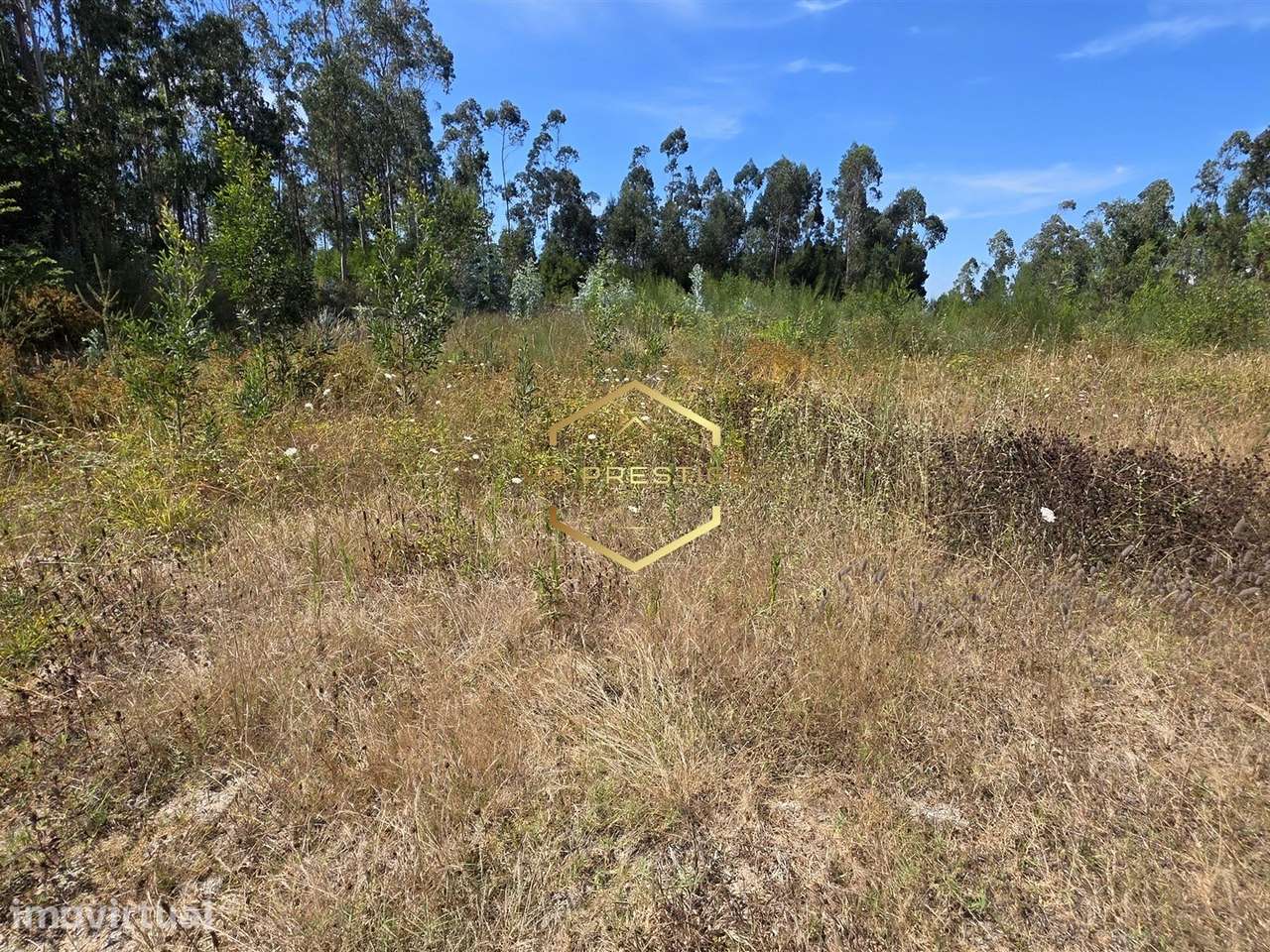 Lote de Terreno  Venda em Retorta e Tougues,Vila do Conde - Grande imagem: 3/13