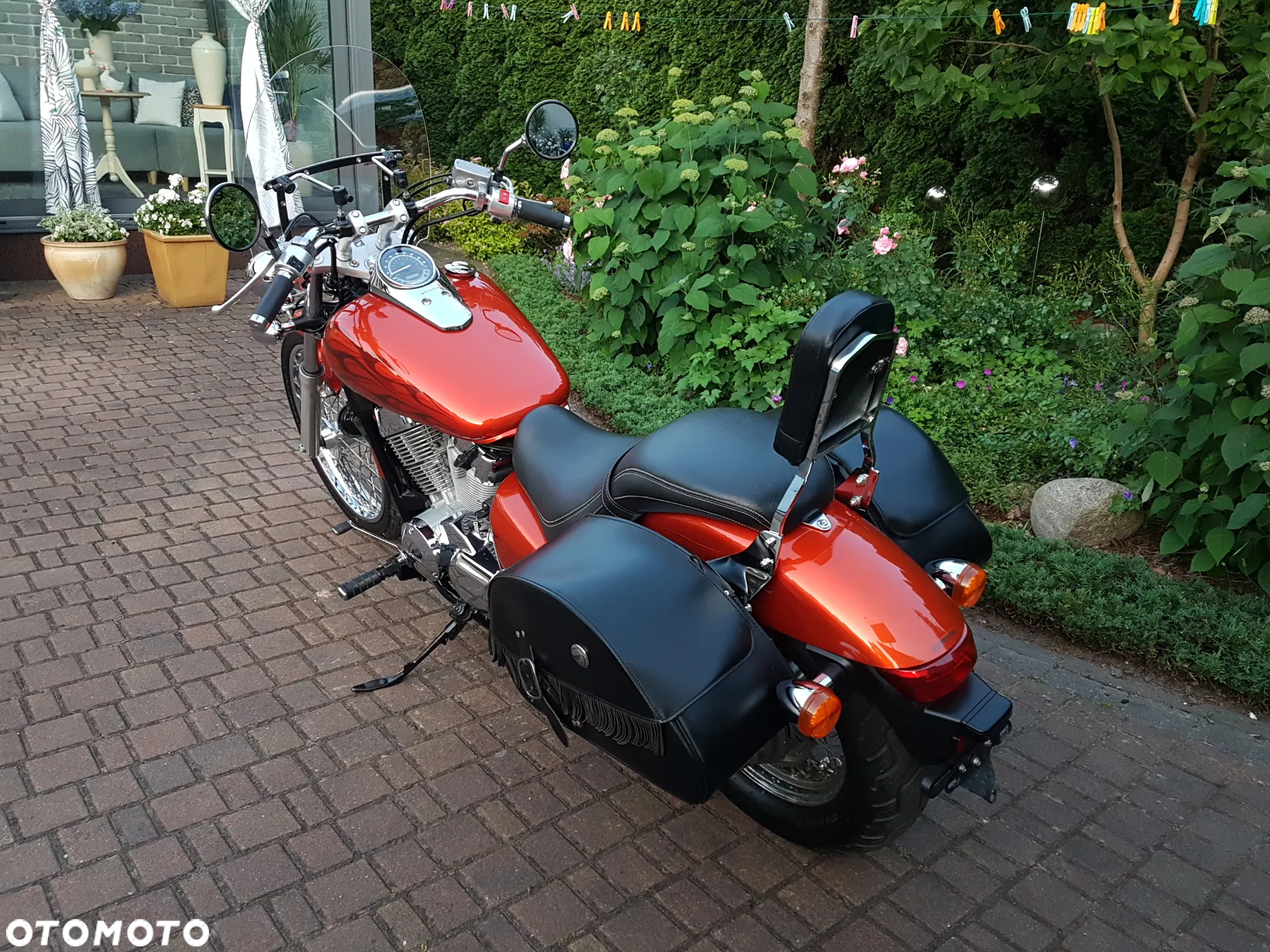 Honda Shadow - 17
