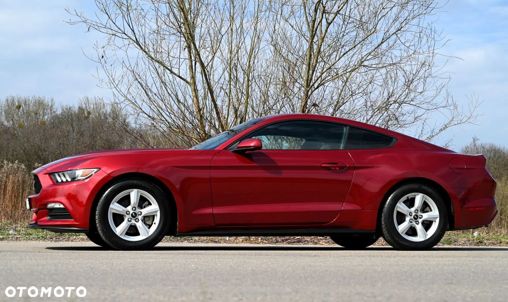 Ford Mustang - 15