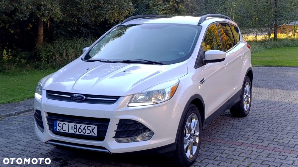 Ford Escape - 1