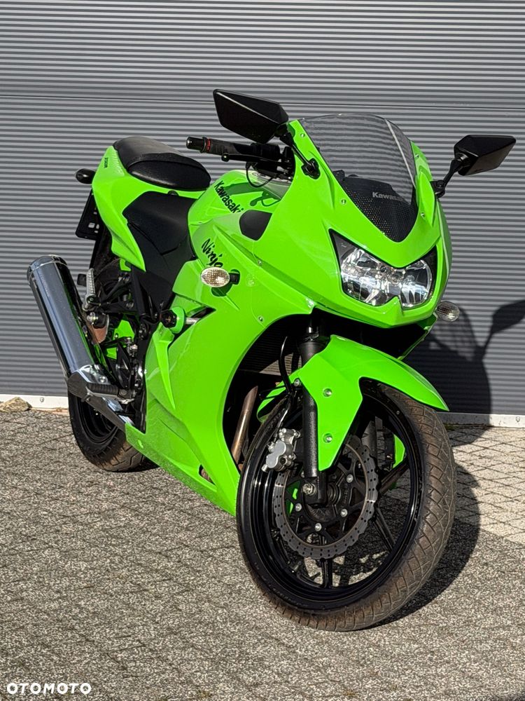 Kawasaki Ninja 250R - 1