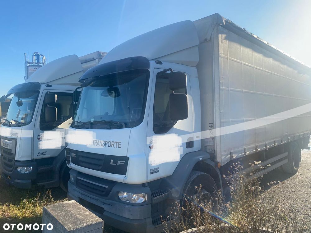 DAF LF 310 - 1