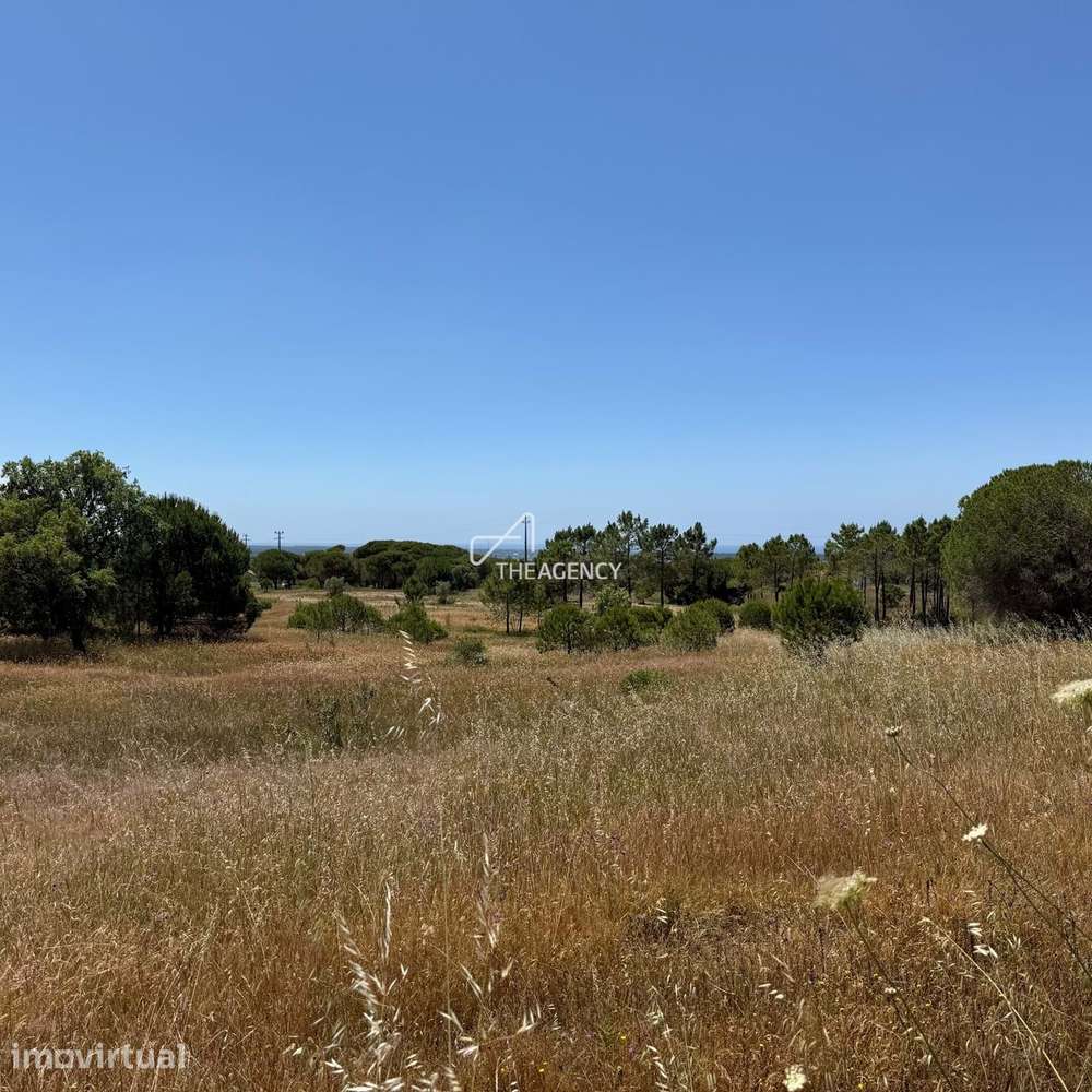 Terreno de 3,9 Hectares com Projeto Aprovado em Melides, perto da Comp - Grande imagem: 4/18