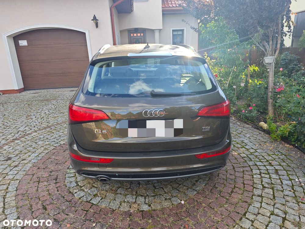 Audi Q5 2013 photo 2