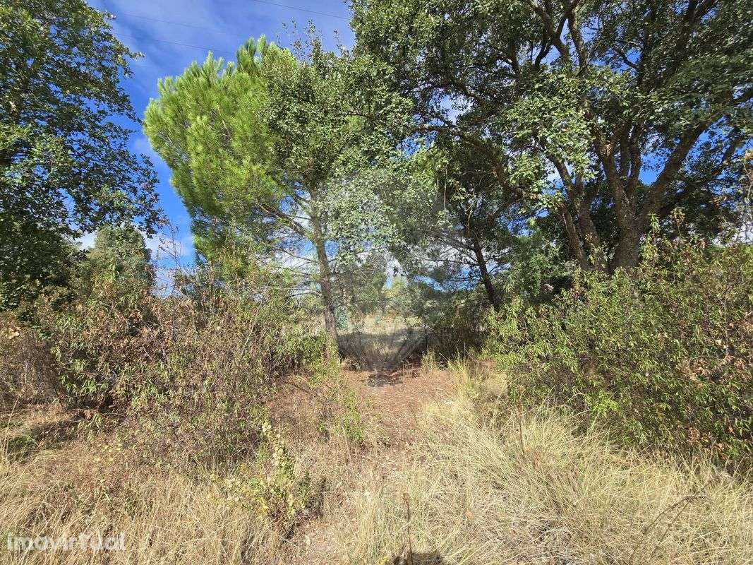 Terreno  para venda - Grande imagem: 2/12