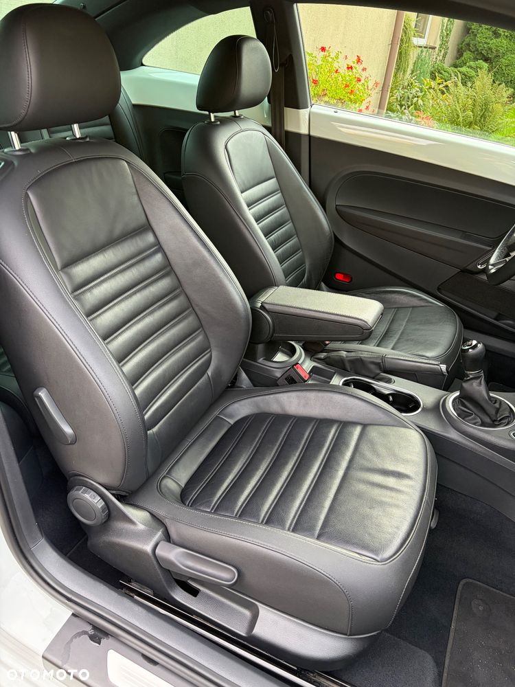 Volkswagen Beetle - 14