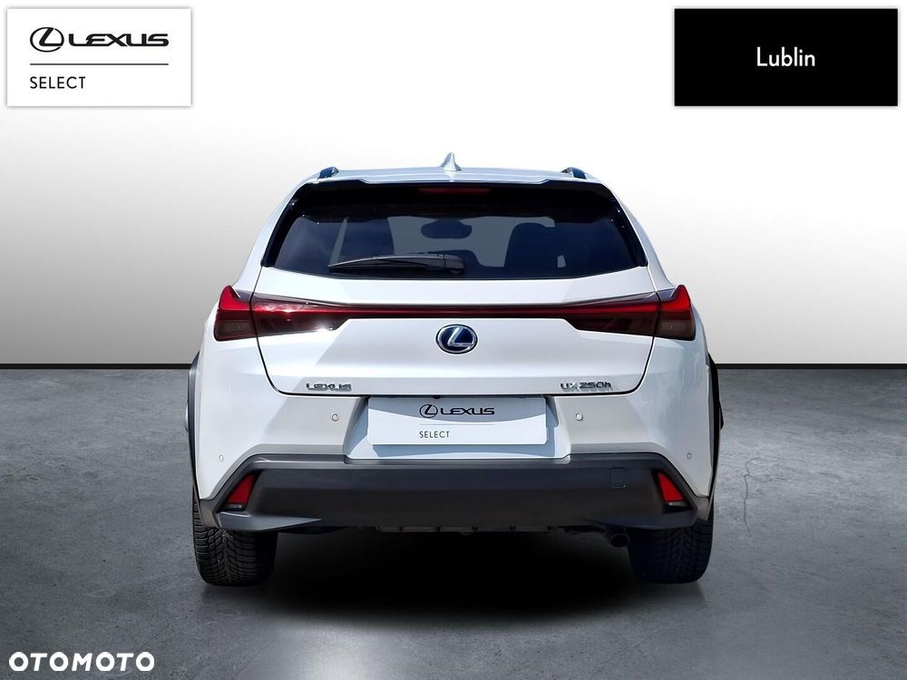 Lexus UX - 5
