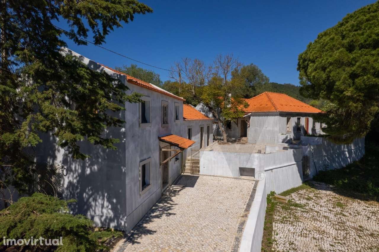 Quinta da Lage - Na alma e coração de Setúbal - Grande imagem: 4/42