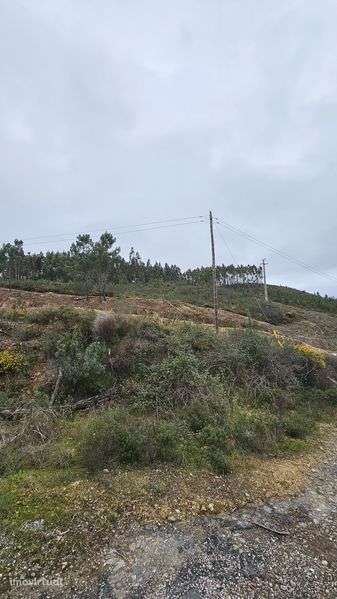 Terreno em Mação - Grande imagem: 3/11