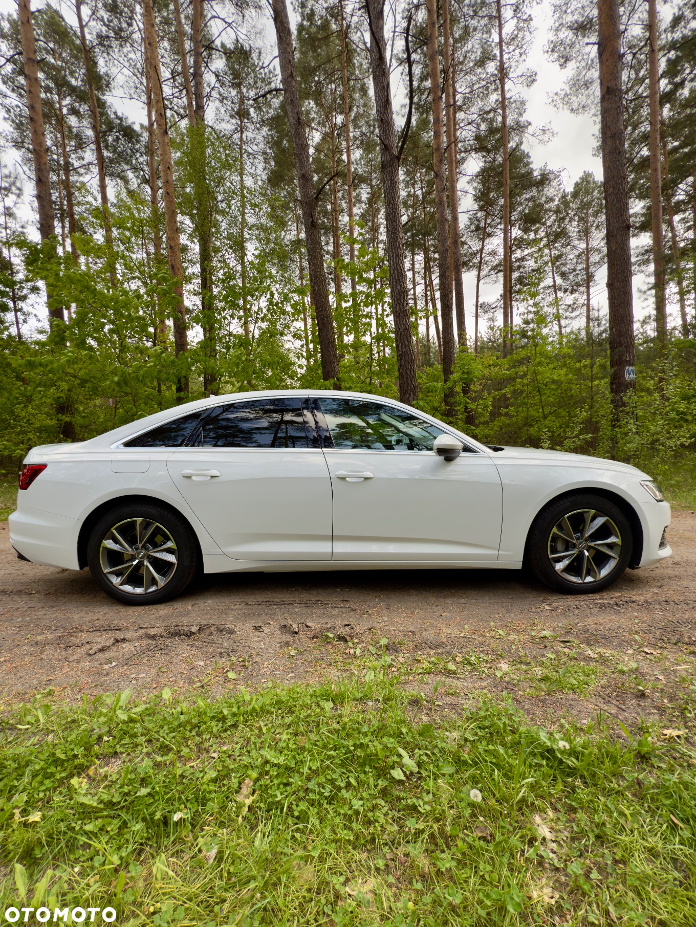 Audi A6 - 31
