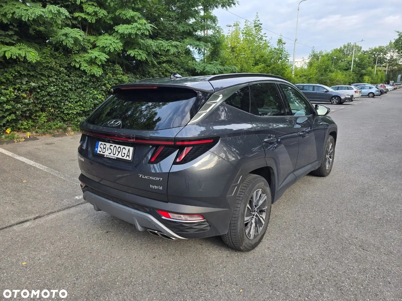 Hyundai Tucson 1.6 T-GDi HEV Executive Final Edition 2WD - 5