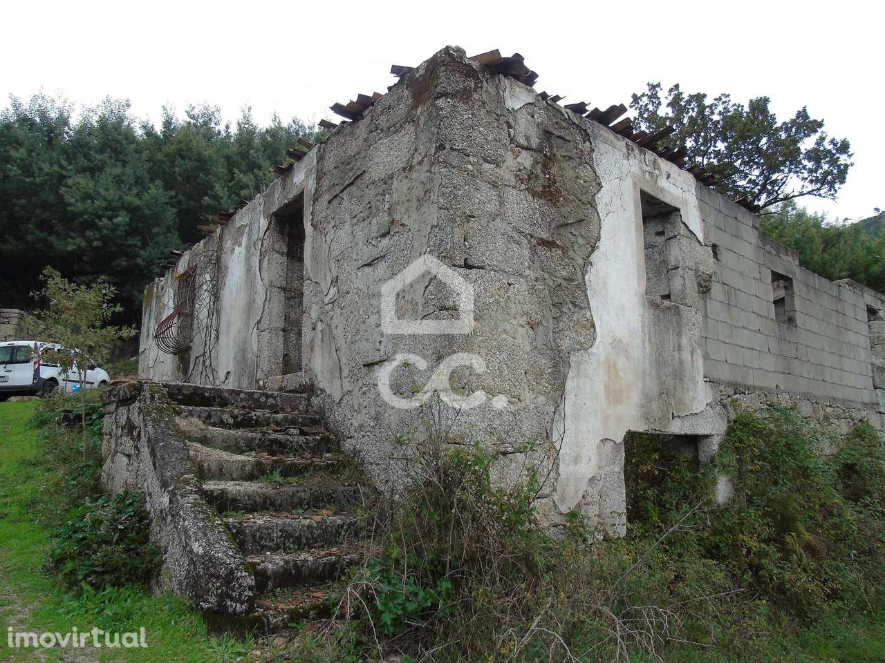 Quinta em Vale de Bouro - Celorico de Basto -  preparada para plantaçã - Grande imagem: 3/25