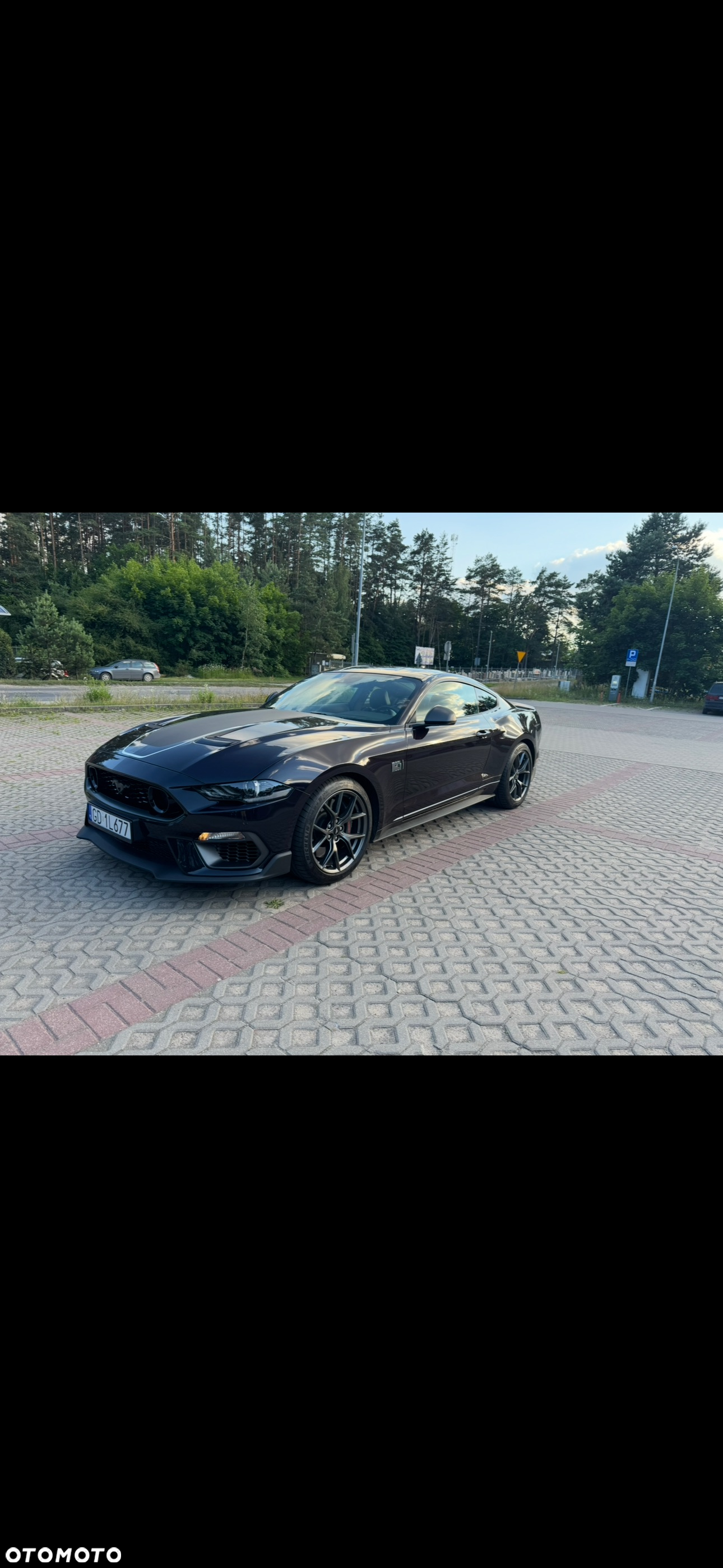 Ford Mustang 5.0 V8 Mach 1 - 5