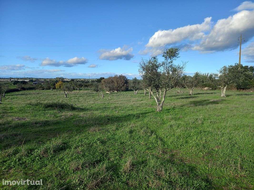 Terreno  para venda - Grande imagem: 2/3