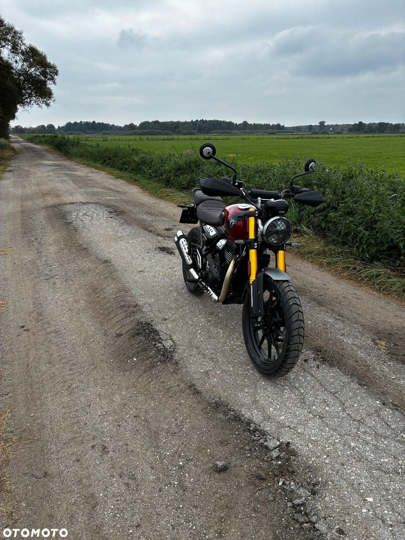 Triumph Scrambler