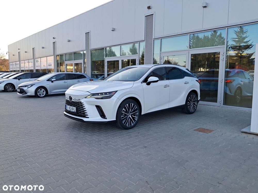 Lexus RX - 14
