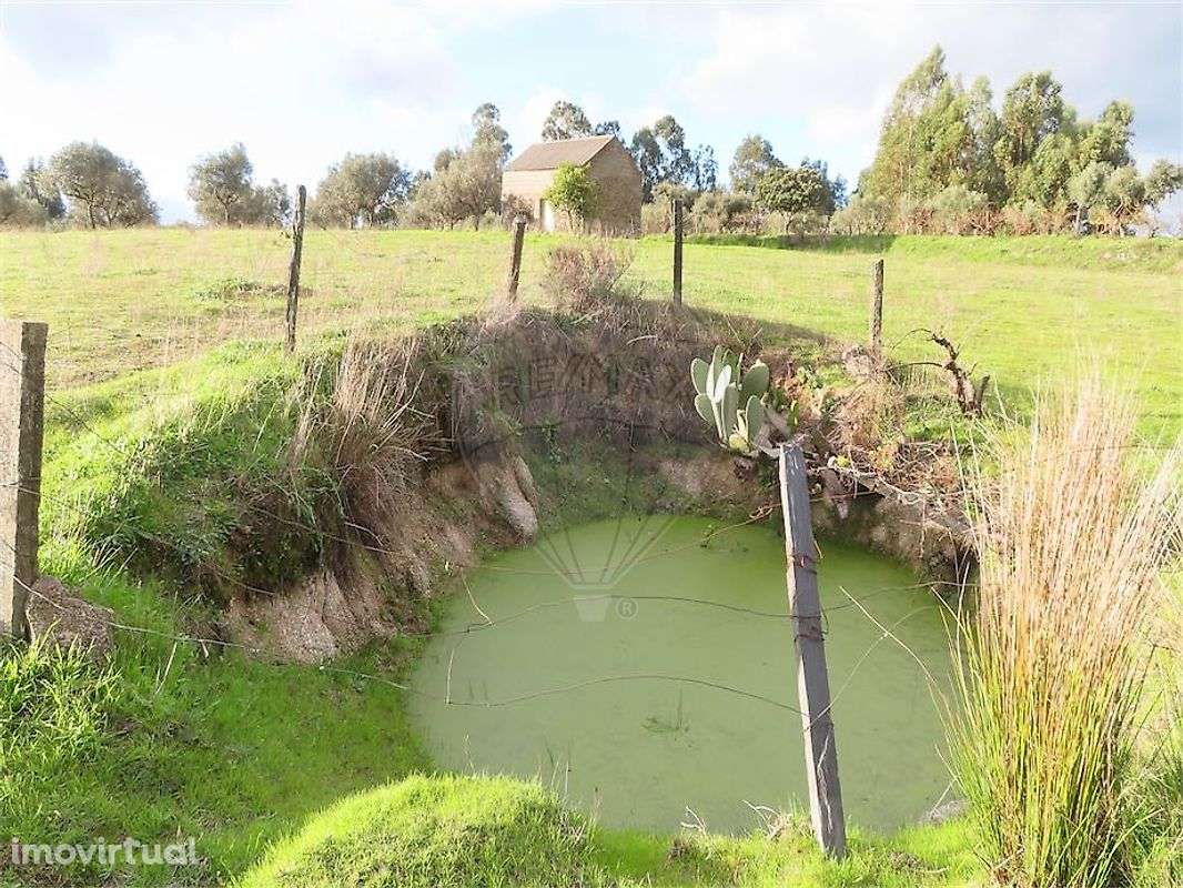 Quinta  para venda - Grande imagem: 4/35