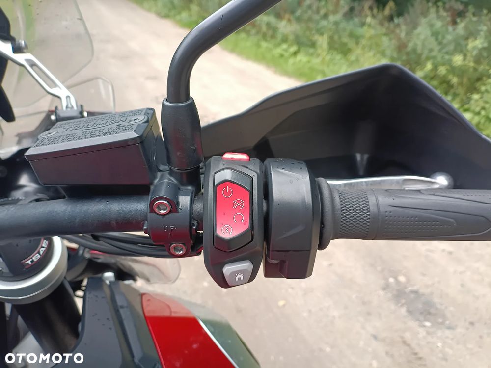 Triumph Tiger - 15