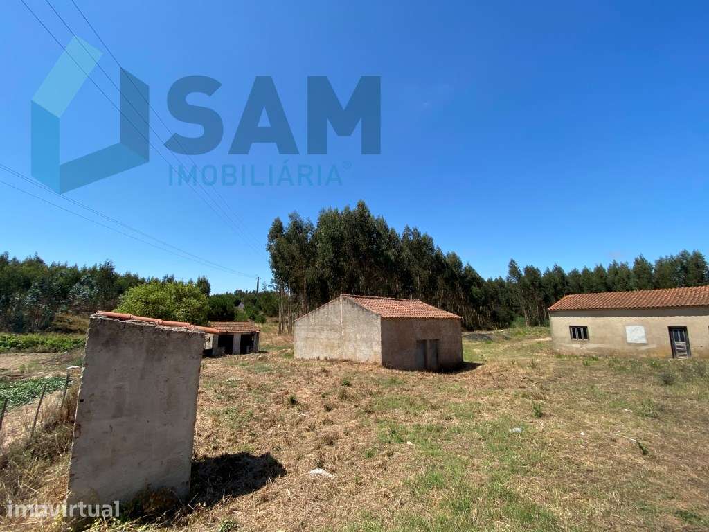 Refúgio no Campo: Casa Antiga com Terreno Plano e Eucaliptos - Grande imagem: 3/8