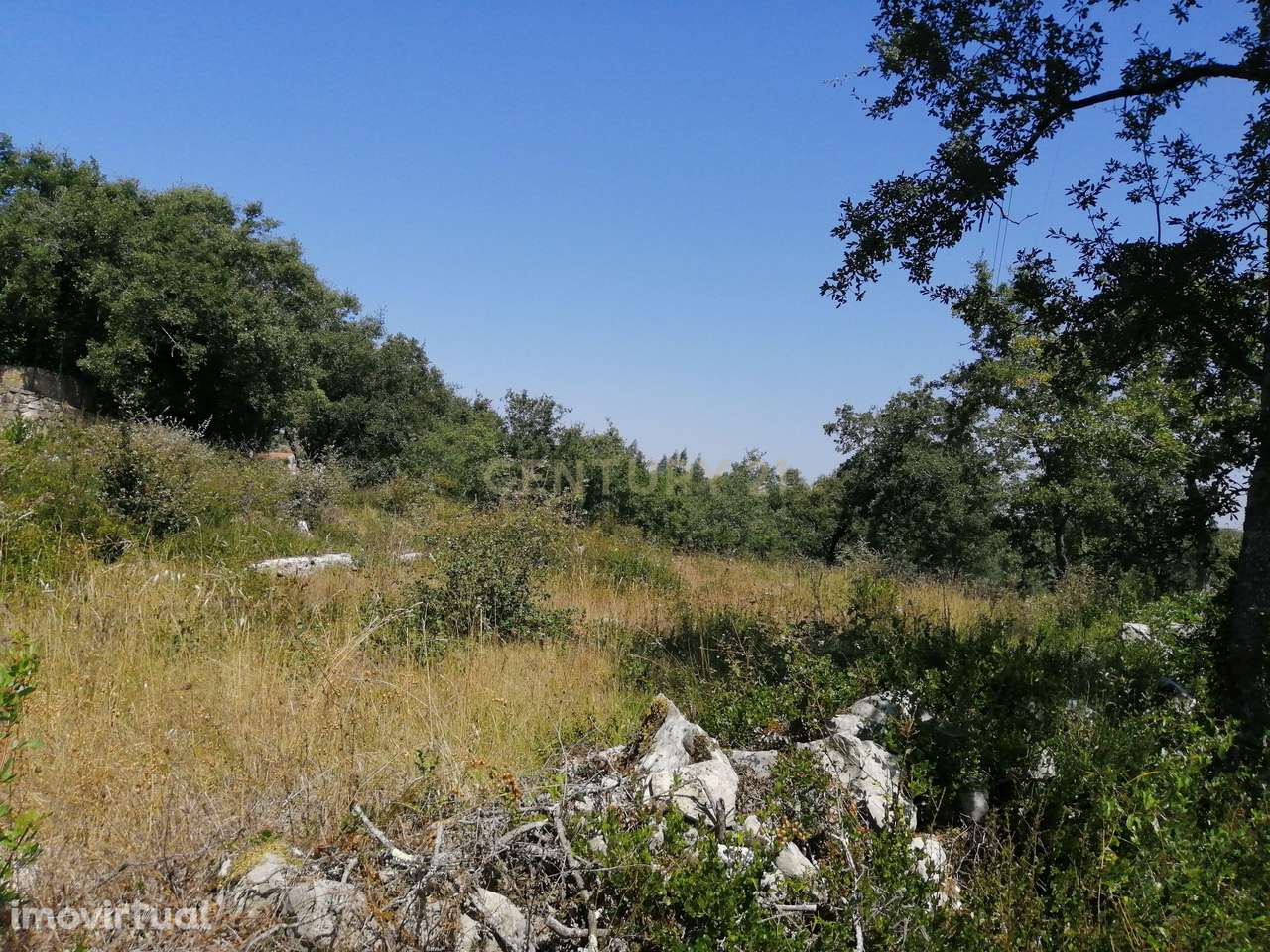 Terreno com projeto aprovado - Grande imagem: 2/14