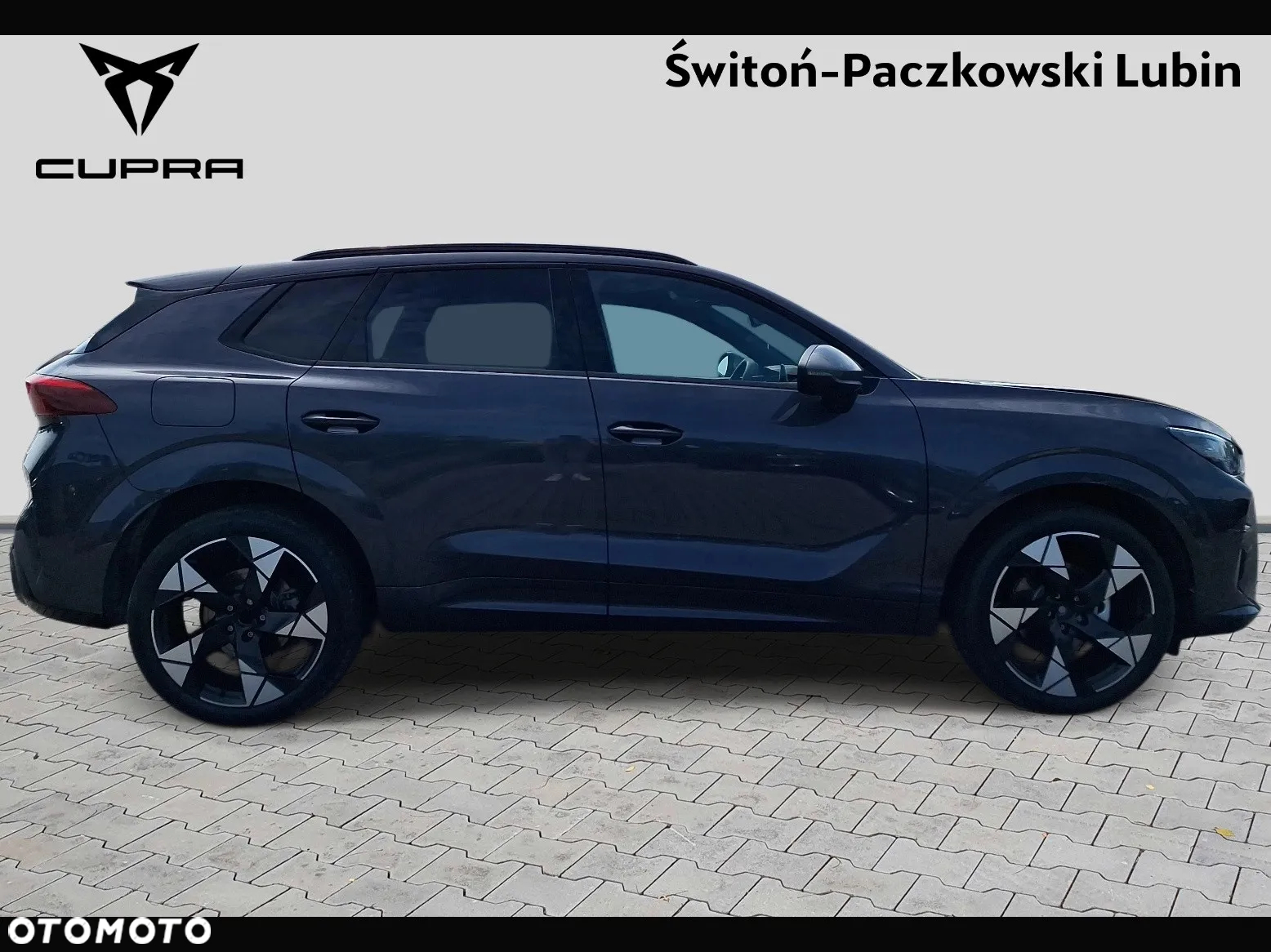 Cupra Terramar - 7