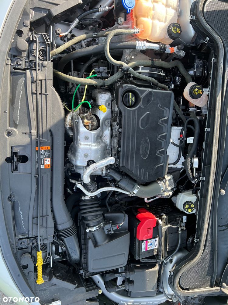 Ford Focus 1.5 EcoBlue Start-Stopp-System TITANIUM STYLE - 24
