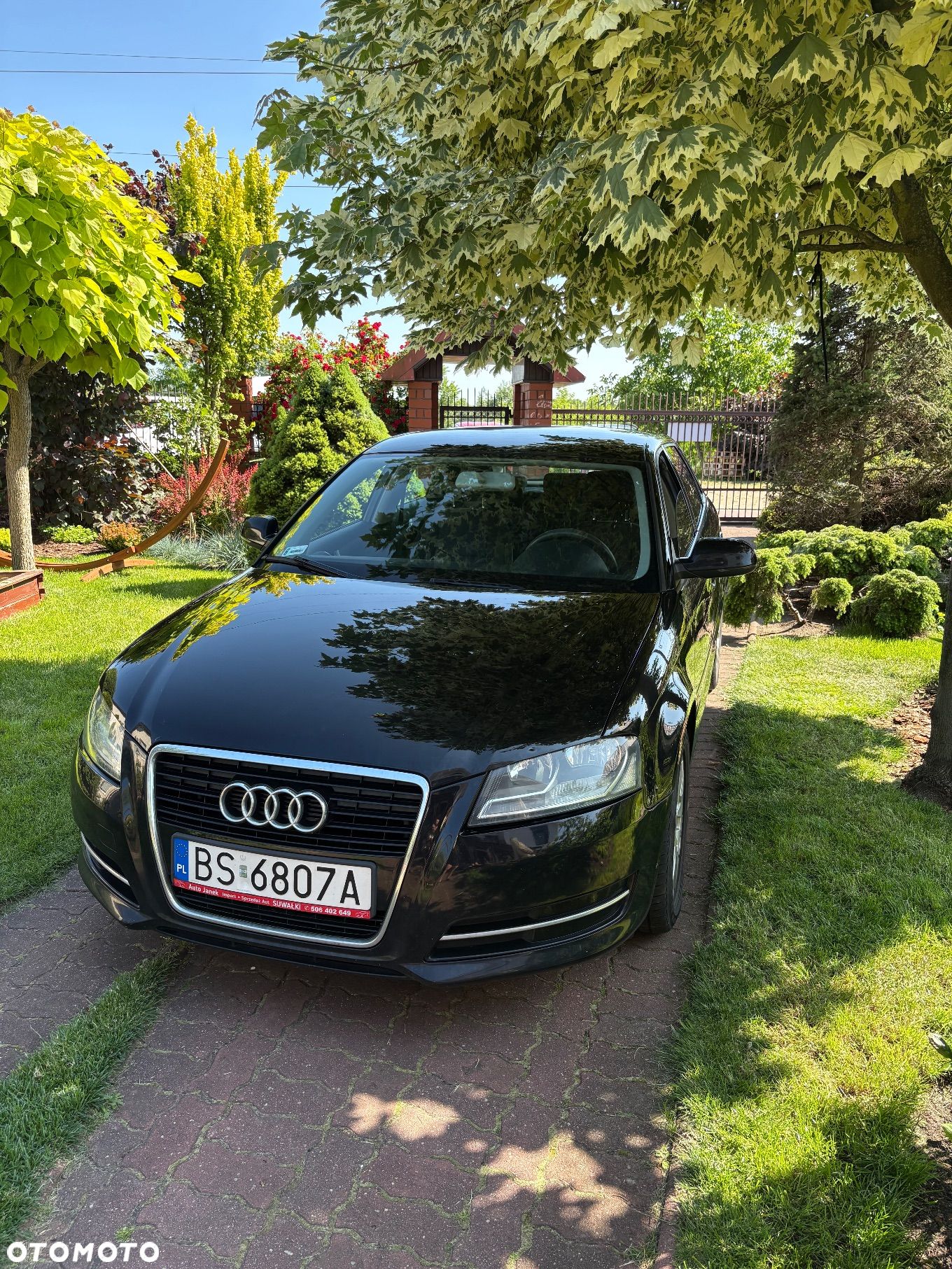 Audi A3 1.6 Ambition - 1