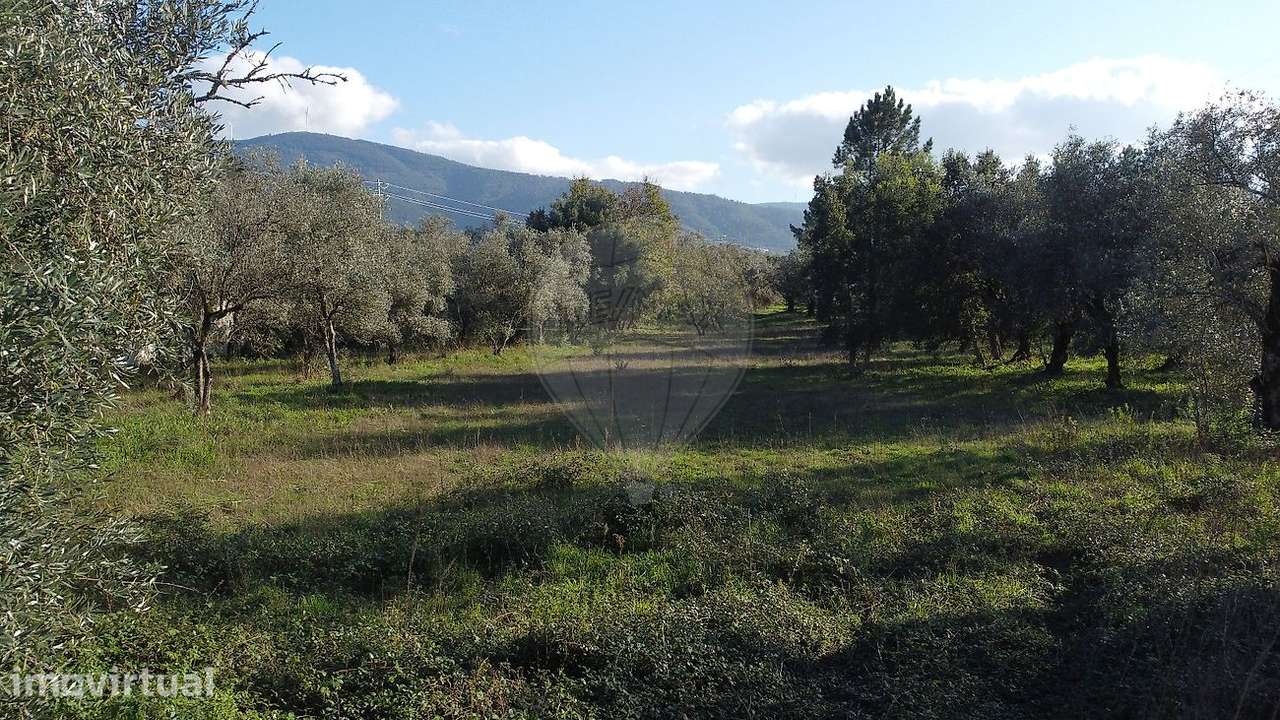 Terreno  para venda - Grande imagem: 3/4