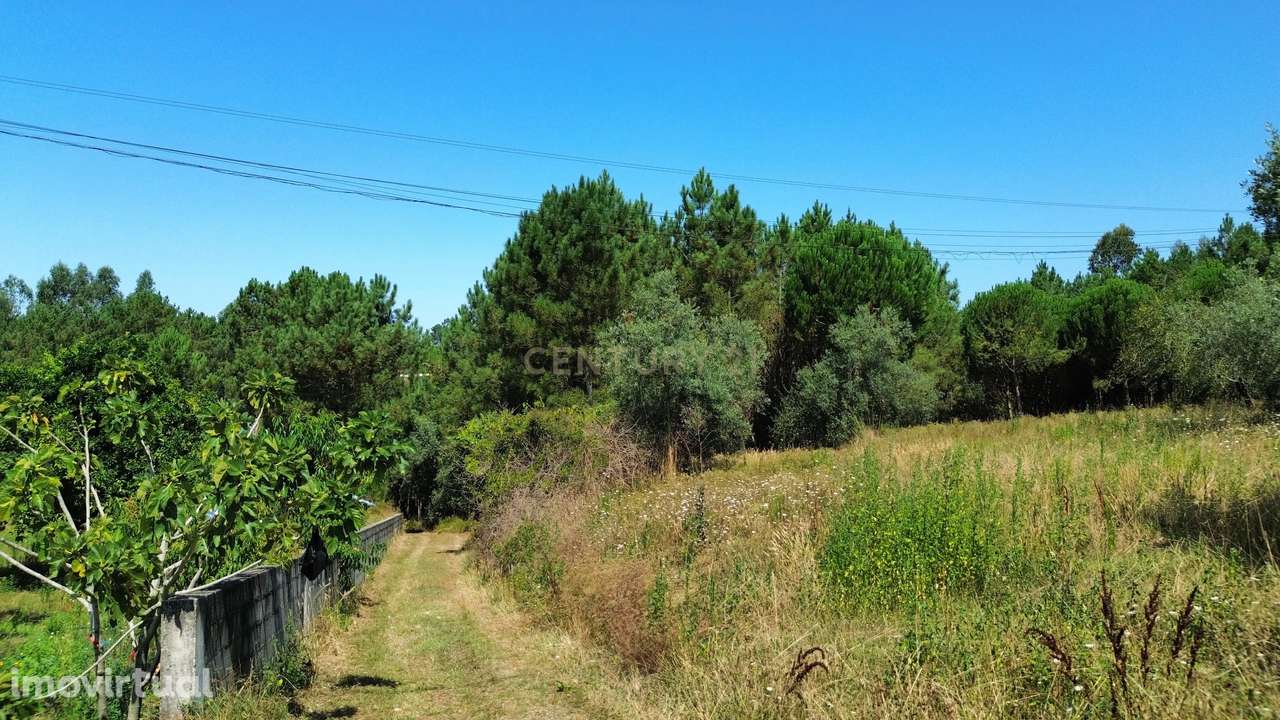 Terreno com 2020m2 para construção em Carnide - Grande imagem: 5/58